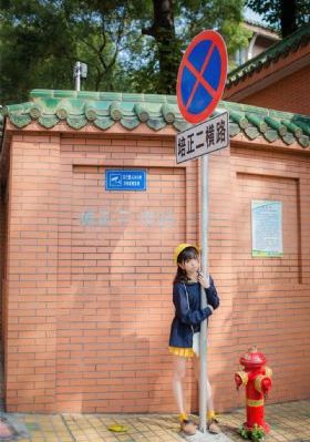 国产芯片进展_BD国语完整视频观看